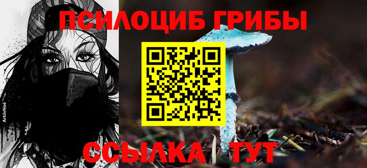Карачаевск  Псилоцибиновые грибы ЛСД  Вход с VPN 