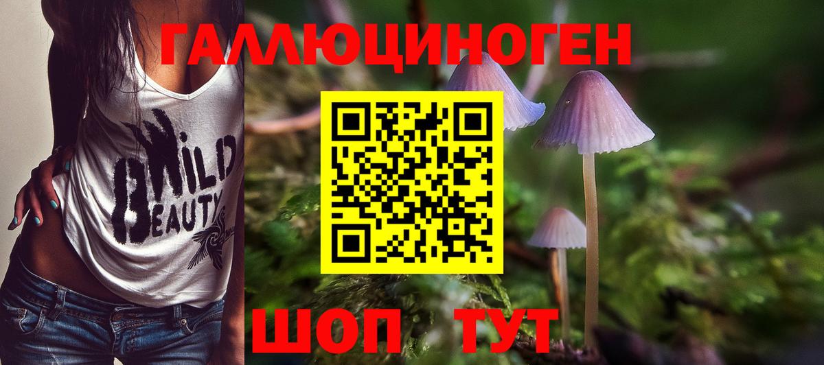  COCAIN Карачаевск